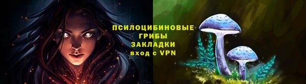 apvp Бородино