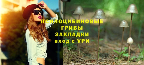 apvp Бородино