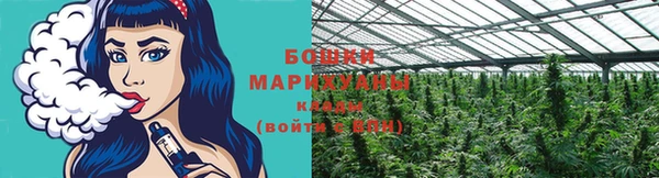 apvp Бородино
